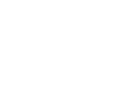 APF Logo